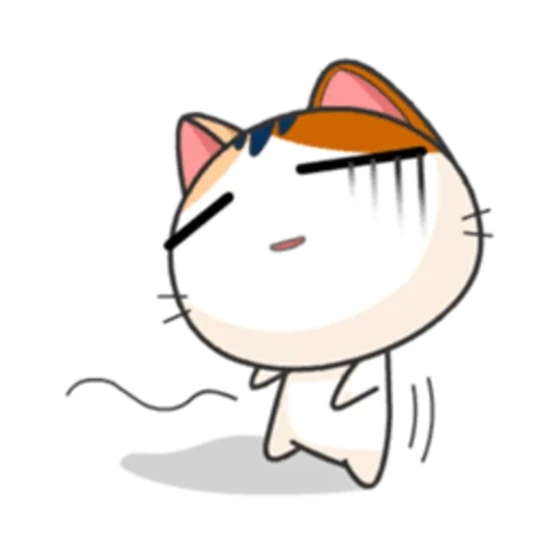 chat, un chat, anime miaule, chatons japonais, chat japonais