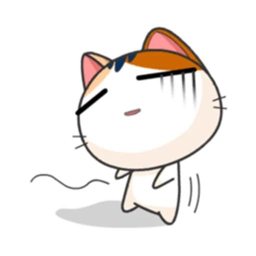 gato, um gato, anime miau, gatinhos japoneses, gato japonês