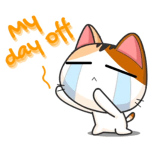 anime miau, gato miau miau, meow animado, gatos japoneses, gato japonês