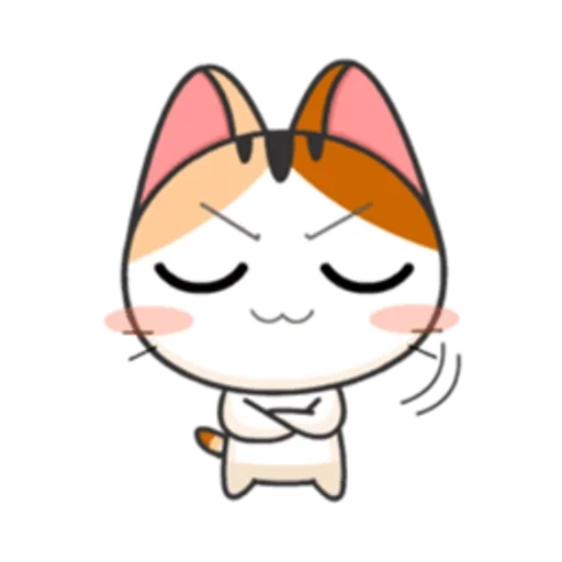 meow, anjing laut, meow animated, anjing laut jepang, anak kucing jepang