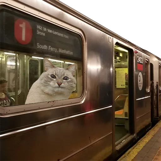 subway, subway train, subway station, sherpukhov track, new york city subway