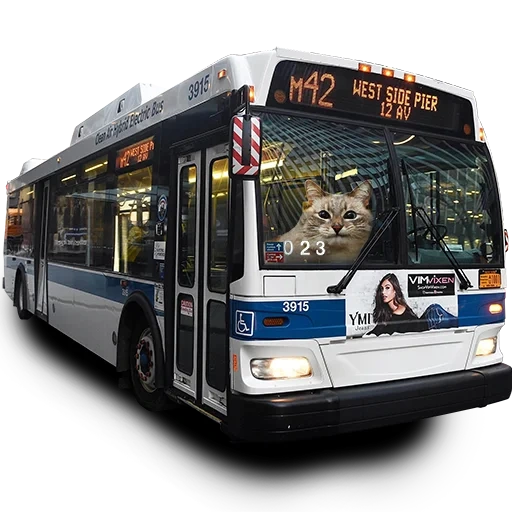 bus, hommes, bus, city bus, transport urbain