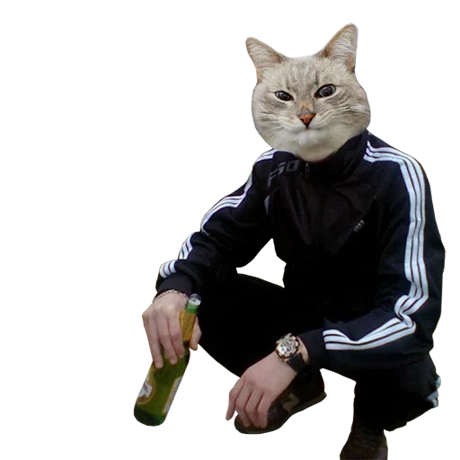 humano, 23 años, artem belov, gato adidas, barsik adidas