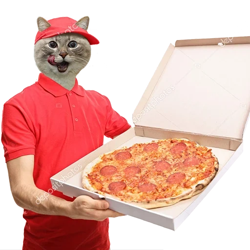 pizza, domino pizza, pizza delivery man, pizza delivery boy, pizza boy delivers pizza delivery man