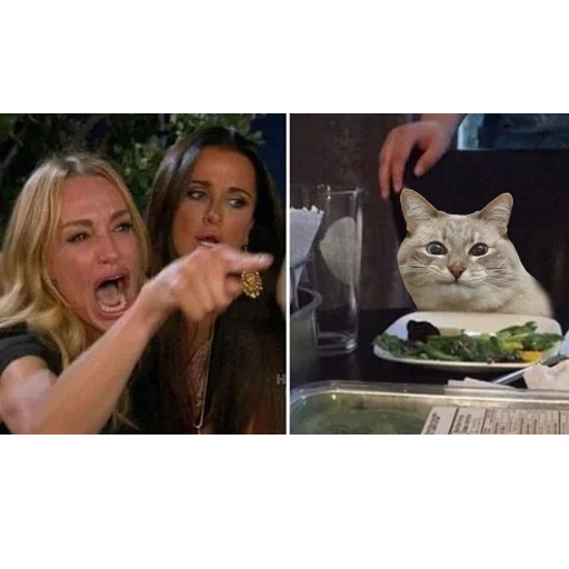 cat fêmea meme, motivo feminino gato, motivo feminino gato, motivo de gato de duas mulheres, motivo de gato na mesa das meninas