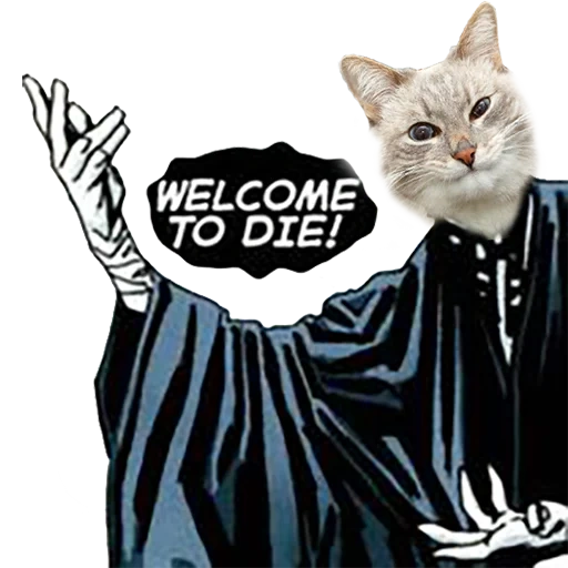 gato, cat, selo, gato, esqueleto de boas-vindas