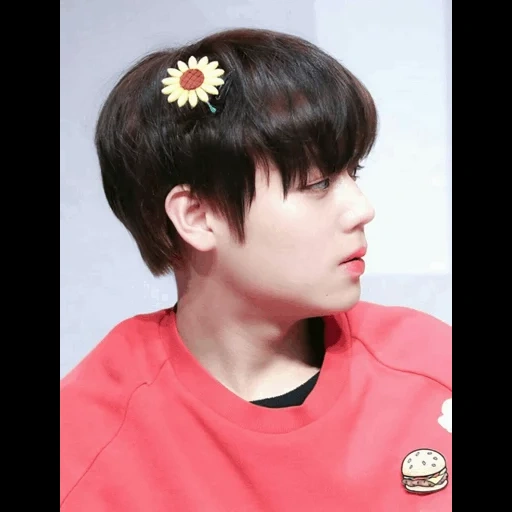 país rojo, zheng zhongguo, bts jungkook, chunguk mily, orgullo de chong