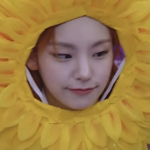 asia, lin lin, bunga matahari, tanda anime, bunga matahari yang indah