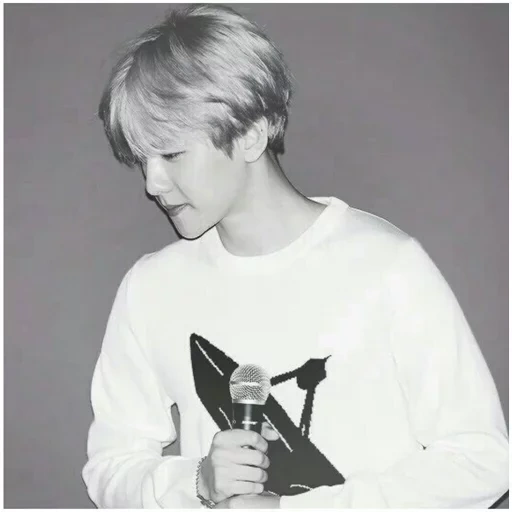 ciervo han, park chang-lie, baekhyun exo, baekhyun púrpura, white xuan exo púrpura