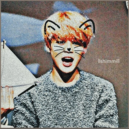 jimin, jimin bts, bts jimin, taehen neco, bts jimin cat