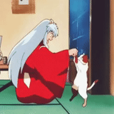 inuyasha, innius, anime di inuyashashi, inuyasha cat booo, anime inuyasashyshomara