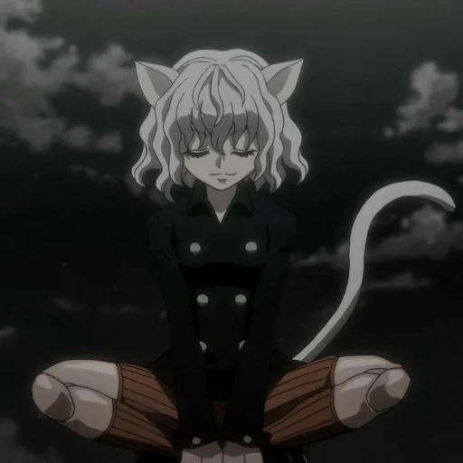 não ferrite, aura não-fiffel, neferptu hunter, animação hunter neferpitu, hunter x hunter neferpitou