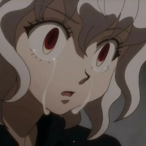 neferpitou, chasseur d'anime, grand anime, personnages d'anime, anime neferpit