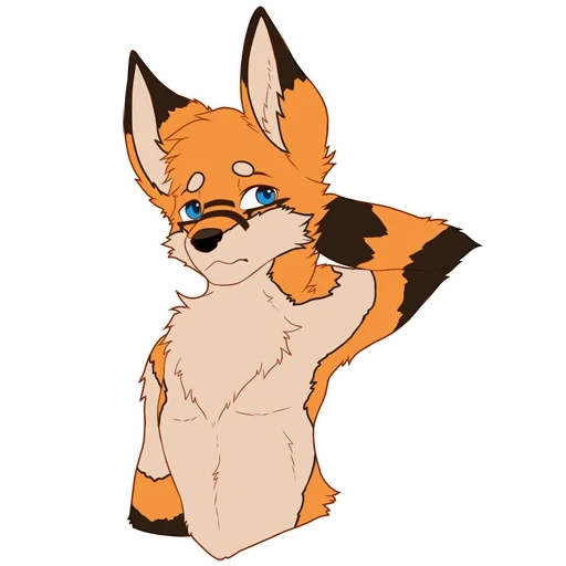 fox, illustration de renard