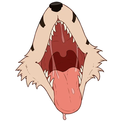 hyenas, human, hyena teeth, dog's teeth, bear's teeth