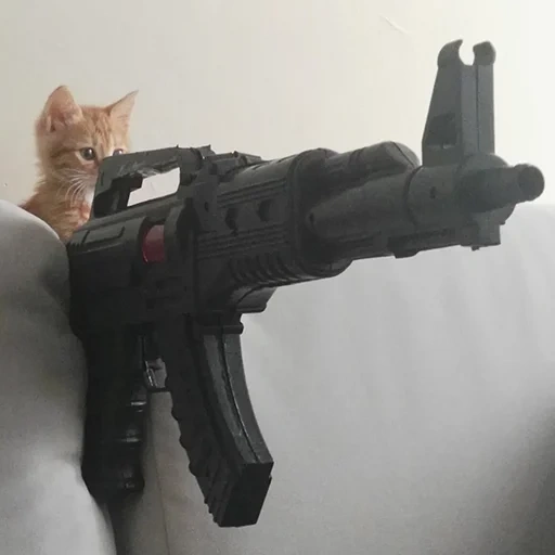 chat, chat vital, le chat est des armes, le chat est automatiquement, des trucs sympas