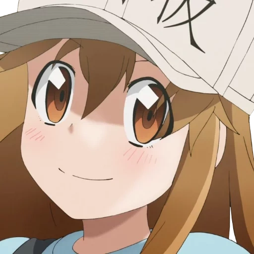 hataraku saibou, anime, anime sal, anime characters, anime amino