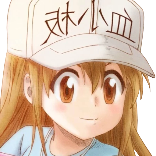 anone anone hataraku saibu anime, hassaraku saibou, anime hataraku saibou thrombozig