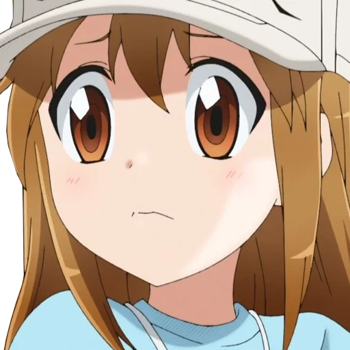 anime, anone anone hataraku saibou anime, anime sal, anime amino, personnages anime