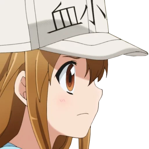 anime, anone anone hataraku saibou anime, hataraku saibou, anime sal, anime