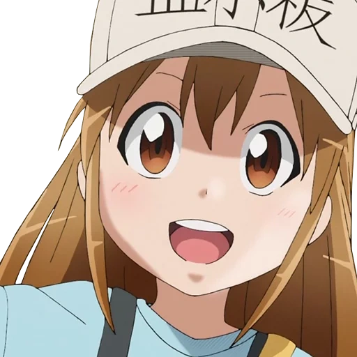 hataraku saibou, gadis dari anime, anime, anime, anone anone habou anime