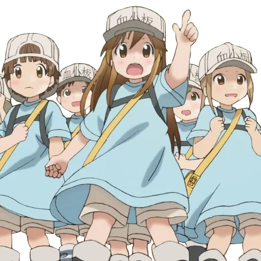 hataraku saibou 2, hataraku saibou, anime familial rende, anone anone hataraku saibou anime, personnages anime