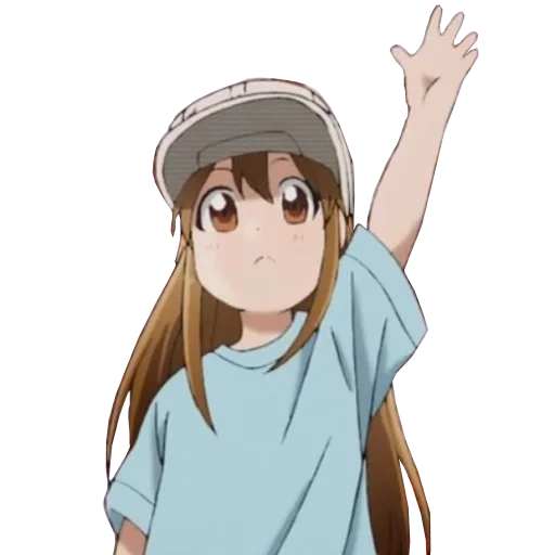 hataraku saibou, disegno, personaggi anime, ragazze di anime, anime