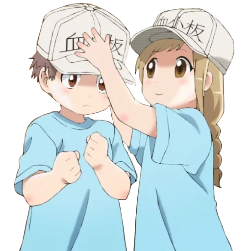 hataraku saibou, hataraku saibou thrombocyte, hataraku saibou panza, macrophage habou, habou cancer cell