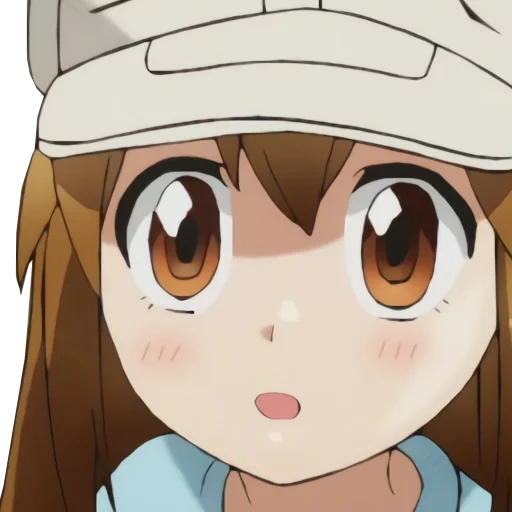 anime, hataraku saibou, anime, anime sal, filles de l'anime