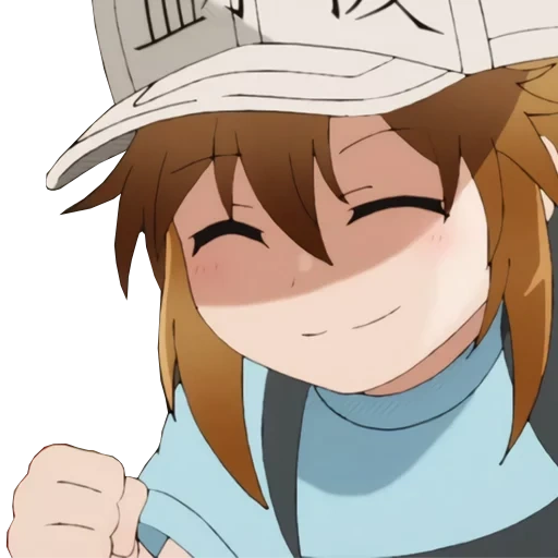 anime characters, anime on the profile meme, anime, hataraku saibou anime, anime