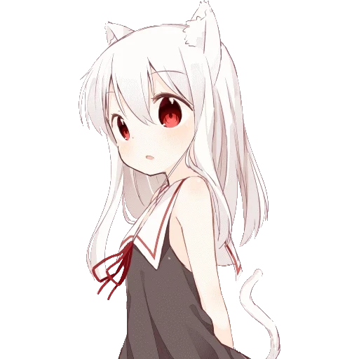 anime kucing, cgicutiepie lolix, anime gadis kucing, tanatsuko berambut putih, anak kucing gadis anime