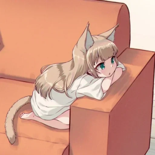 kucing, anime neko, anime kucing, kinako 40hara, anime kucing gadis