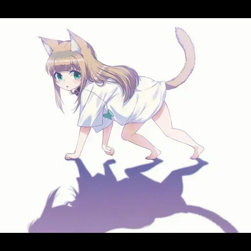anime neko, kinako neko, cat animation, jinnazi's wife, cat cartoon girl