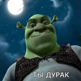 lolshrekkek