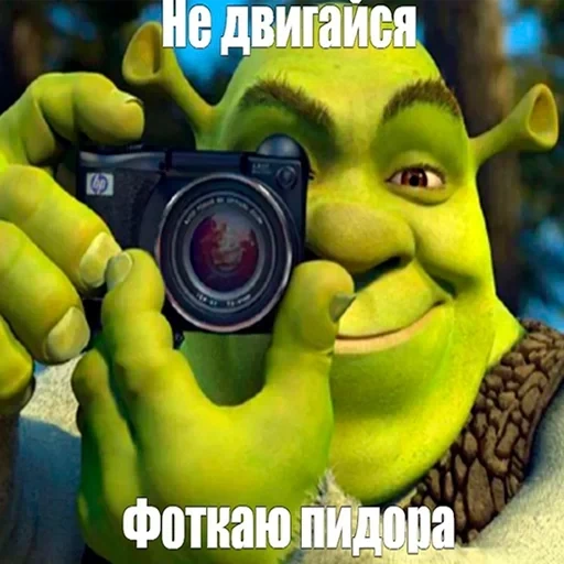 mem shrek, memes shrek, shrek mema plantilla, shrek con una cámara, shrek con una cámara original