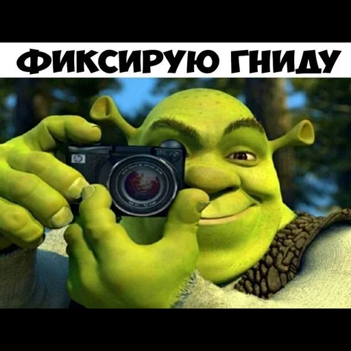 shrek, cámara shrek, shrek con una cámara, shrek cámara con un meme, shrek con una cámara original