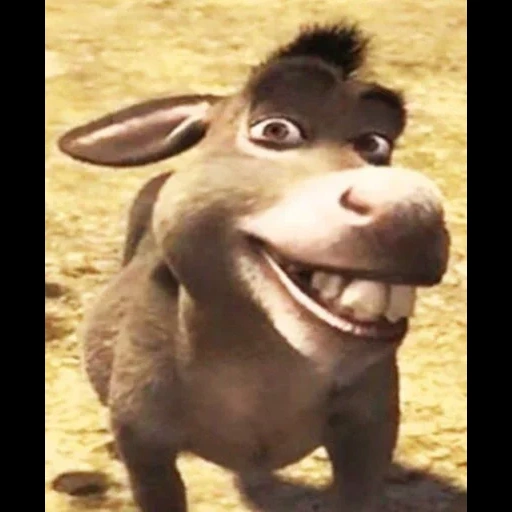 shrek donkey, donkey shrek, the donkey of the shrek, the donkey of the shrek meme, the smile of a scream of shrek