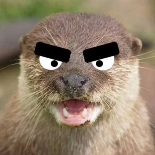 otter, otter, de otter, otter ist ein tier, eiermündung
