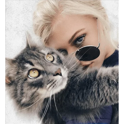 gatti della ragazza, alice koshkin, gli animali sono carini, lauren gray con un gatto, anna dashevskaya messer giovanni il tuo gatto è troppo intelligente