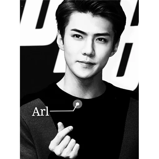 sehun, oh sehun, exo sehun, xie hong lode, shihong exo cb