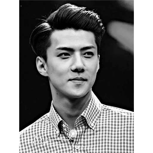 sehun, exo sehun, chanyeol exo, shixun dokensu, korean actor