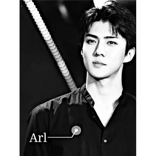 sehun, emergência xie hong, exo sehun, shehong esso, shihong 2018