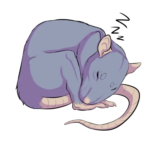 grey mouse, rat mouse, lilac rat, rat drawing, rat cute art