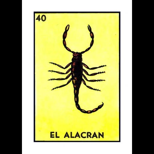 alacran, скорпион, насекомое, скорпион насекомое, скорпион сверху вектор