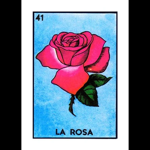 rosa, розы, la rosa, роза таро, карты таро розами
