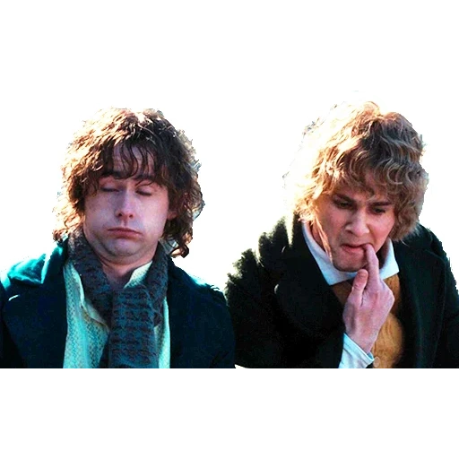 guy, mary pipin, merry pippin lembas, the lord of the rings of bilbo, the lord of the rings brotherhood