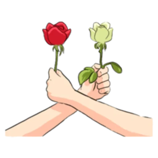 роза руке, рука розой вектор, роза воткнутая руку, срезанная роза рисунок, руки держащая букет срисовать