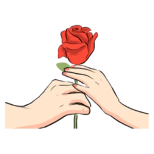 роза руке, роза цветок, рука цветком, красная роза руке, рука розой вектор