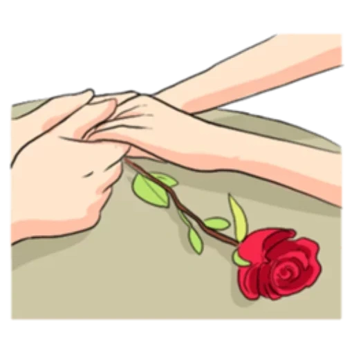 розы, рука, цветы, троянди, часть тела