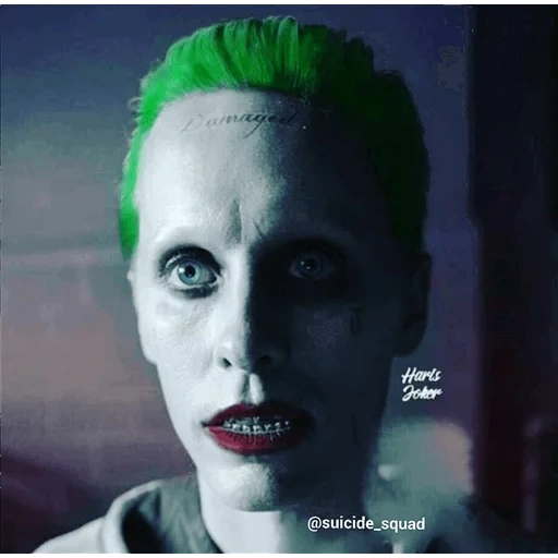 joker jared, jared leto joker, joker gerard summer, coringa do esquadrão suicida, filme de esquadrão suicida 2016 joker